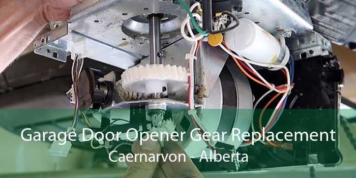 Garage Door Opener Gear Replacement Caernarvon - Alberta
