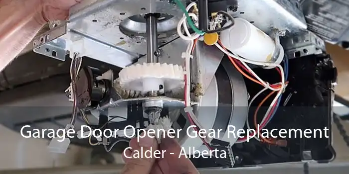 Garage Door Opener Gear Replacement Calder - Alberta