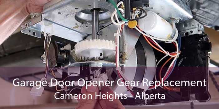 Garage Door Opener Gear Replacement Cameron Heights - Alberta