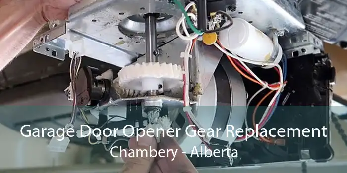 Garage Door Opener Gear Replacement Chambery - Alberta