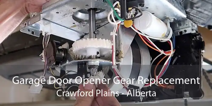 Garage Door Opener Gear Replacement Crawford Plains - Alberta