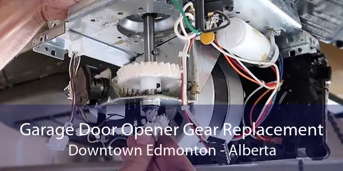 Garage Door Opener Gear Replacement Downtown Edmonton - Alberta