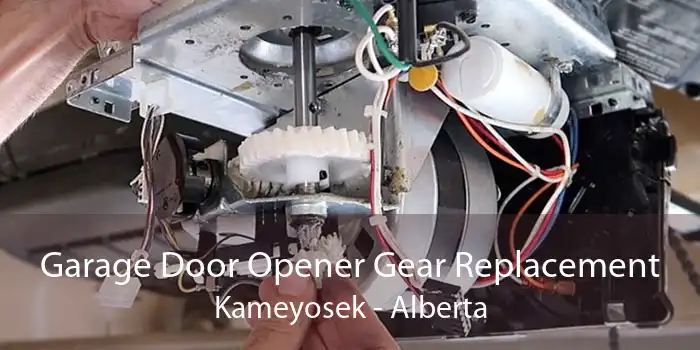 Garage Door Opener Gear Replacement Kameyosek - Alberta
