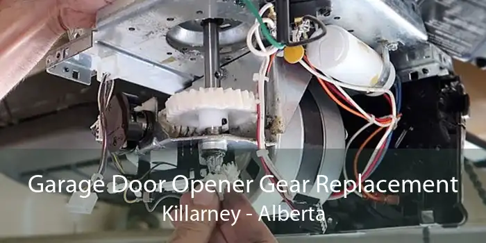 Garage Door Opener Gear Replacement Killarney - Alberta