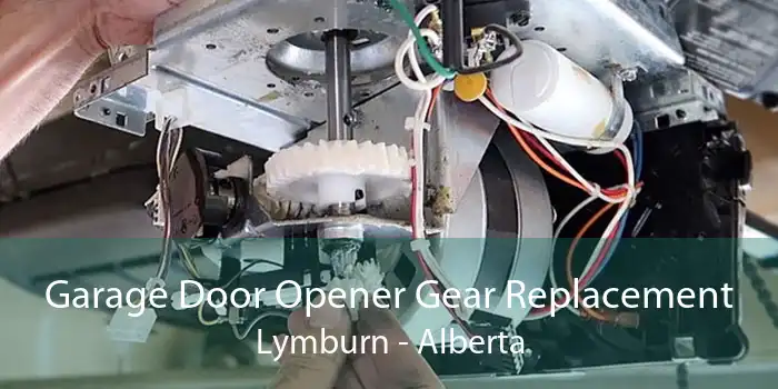 Garage Door Opener Gear Replacement Lymburn - Alberta