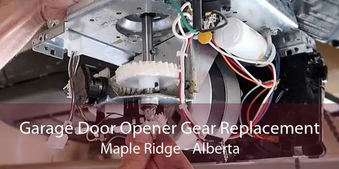 Garage Door Opener Gear Replacement Maple Ridge - Alberta