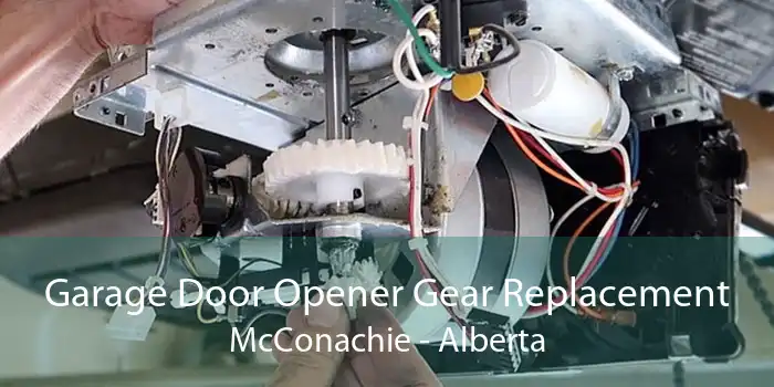 Garage Door Opener Gear Replacement McConachie - Alberta