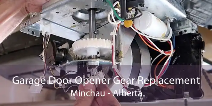 Garage Door Opener Gear Replacement Minchau - Alberta