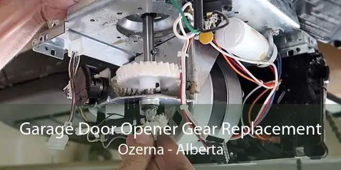 Garage Door Opener Gear Replacement Ozerna - Alberta