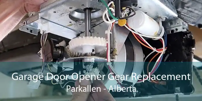 Garage Door Opener Gear Replacement Parkallen - Alberta