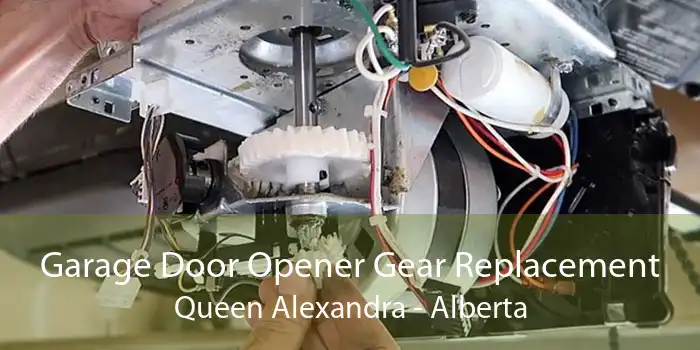 Garage Door Opener Gear Replacement Queen Alexandra - Alberta