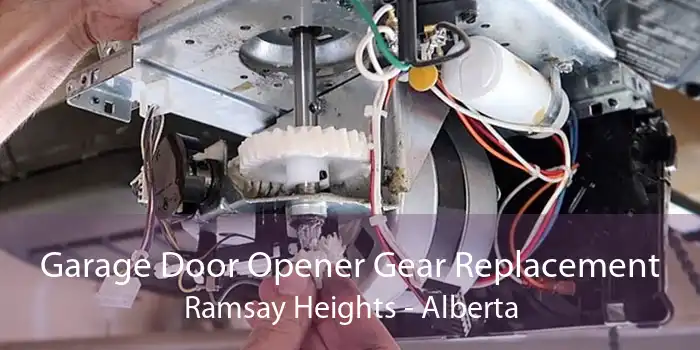 Garage Door Opener Gear Replacement Ramsay Heights - Alberta