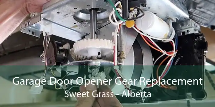 Garage Door Opener Gear Replacement Sweet Grass - Alberta