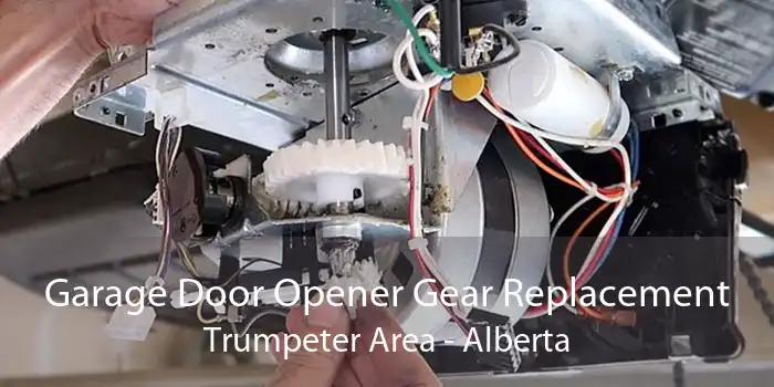 Garage Door Opener Gear Replacement Trumpeter Area - Alberta