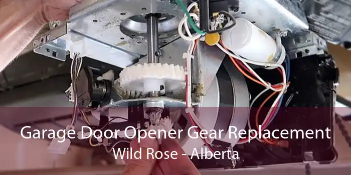 Garage Door Opener Gear Replacement Wild Rose - Alberta