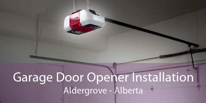 Garage Door Opener Installation Aldergrove - Alberta
