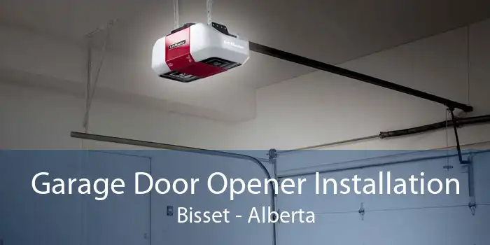 Garage Door Opener Installation Bisset - Alberta