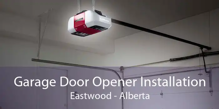 Garage Door Opener Installation Eastwood - Alberta