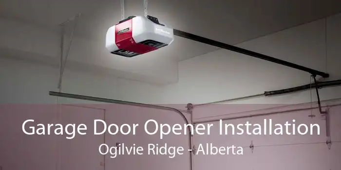 Garage Door Opener Installation Ogilvie Ridge - Alberta