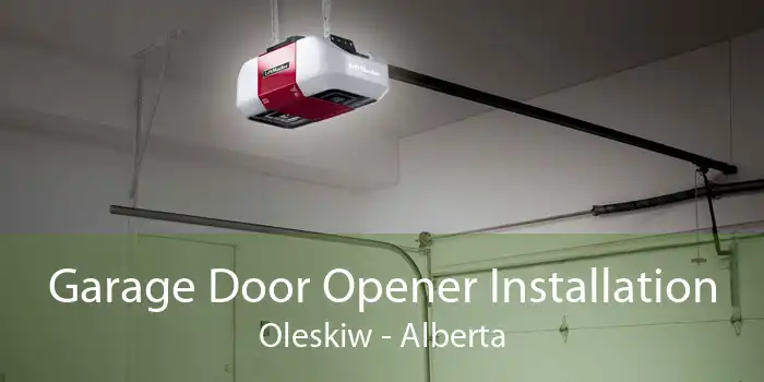 Garage Door Opener Installation Oleskiw - Alberta