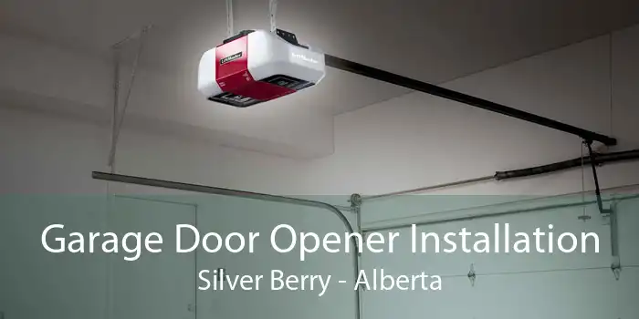 Garage Door Opener Installation Silver Berry - Alberta