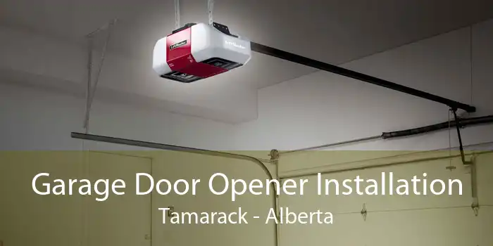 Garage Door Opener Installation Tamarack - Alberta