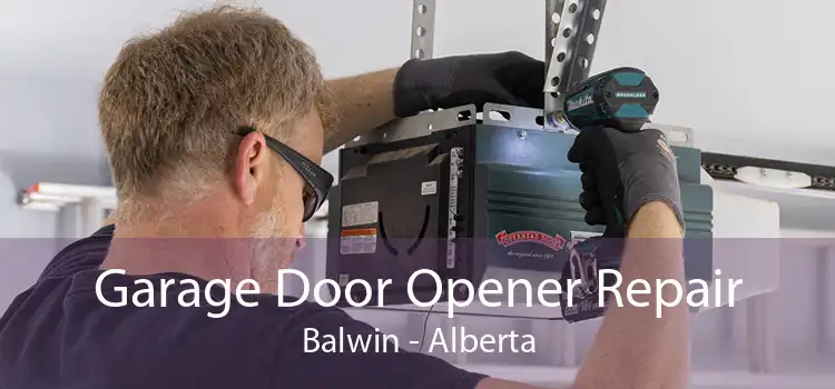 Garage Door Opener Repair Balwin - Alberta