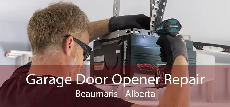 Garage Door Opener Repair Beaumaris - Alberta