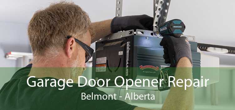 Garage Door Opener Repair Belmont - Alberta
