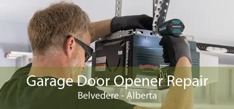 Garage Door Opener Repair Belvedere - Alberta