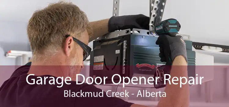 Garage Door Opener Repair Blackmud Creek - Alberta