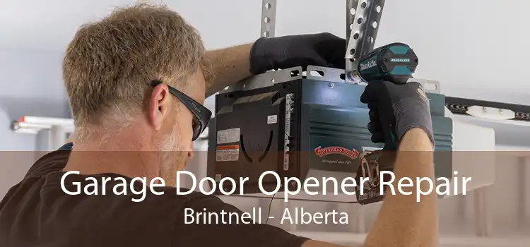 Garage Door Opener Repair Brintnell - Alberta