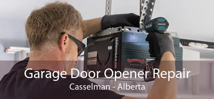 Garage Door Opener Repair Casselman - Alberta