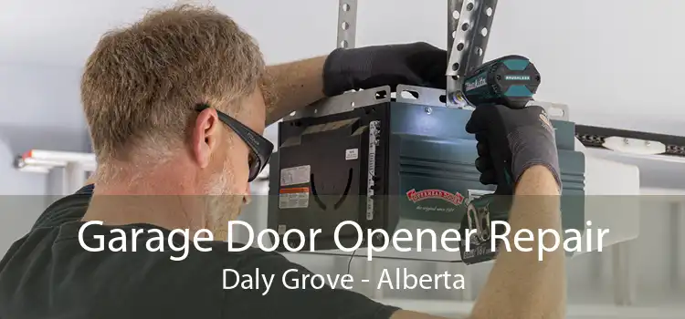 Garage Door Opener Repair Daly Grove - Alberta