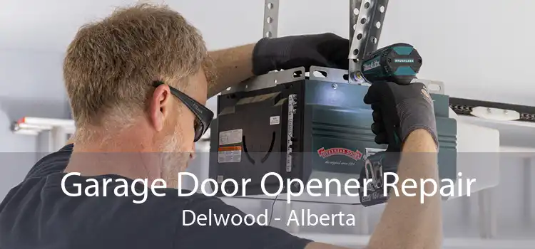 Garage Door Opener Repair Delwood - Alberta