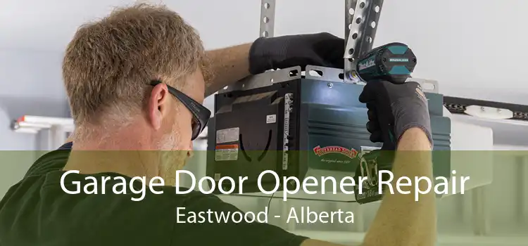 Garage Door Opener Repair Eastwood - Alberta