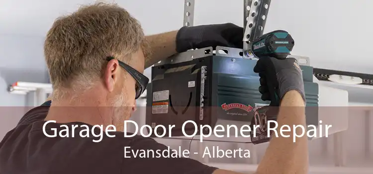 Garage Door Opener Repair Evansdale - Alberta
