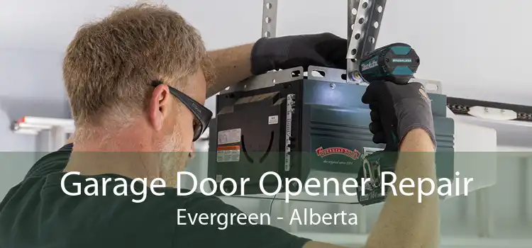 Garage Door Opener Repair Evergreen - Alberta