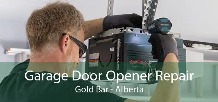 Garage Door Opener Repair Gold Bar - Alberta