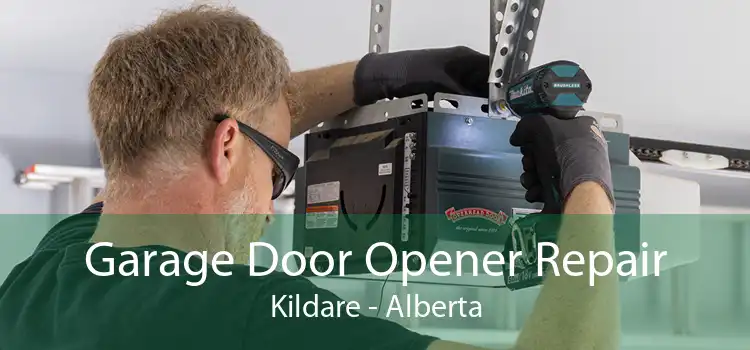 Garage Door Opener Repair Kildare - Alberta