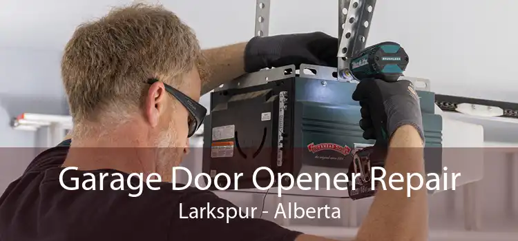 Garage Door Opener Repair Larkspur - Alberta