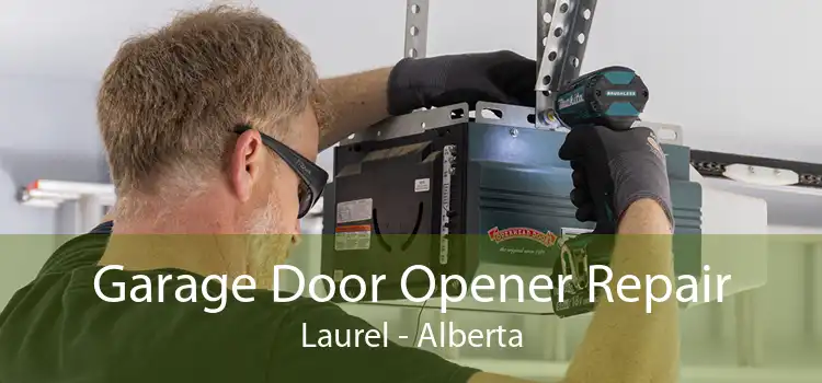 Garage Door Opener Repair Laurel - Alberta