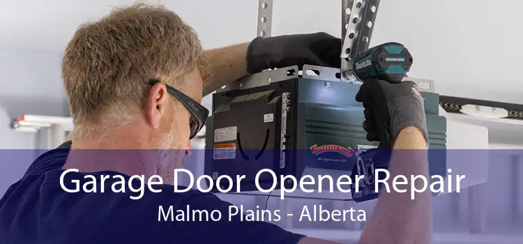 Garage Door Opener Repair Malmo Plains - Alberta