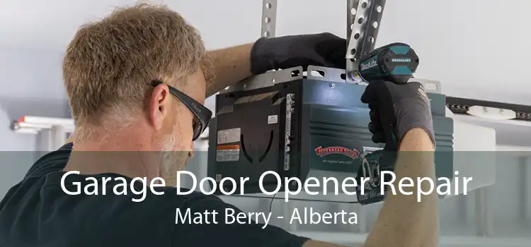 Garage Door Opener Repair Matt Berry - Alberta