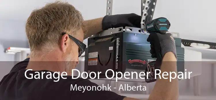 Garage Door Opener Repair Meyonohk - Alberta