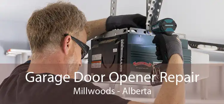 Garage Door Opener Repair Millwoods - Alberta