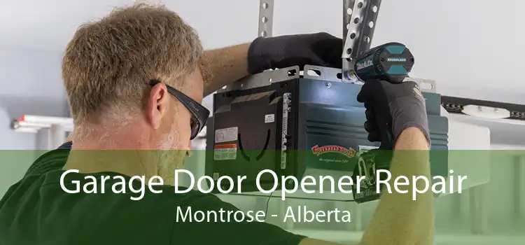 Garage Door Opener Repair Montrose - Alberta