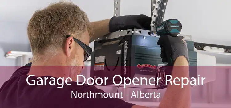 Garage Door Opener Repair Northmount - Alberta