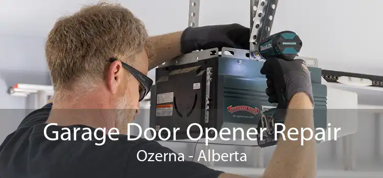 Garage Door Opener Repair Ozerna - Alberta