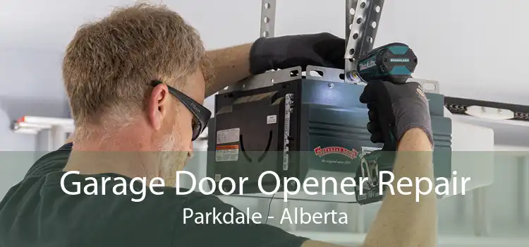 Garage Door Opener Repair Parkdale - Alberta